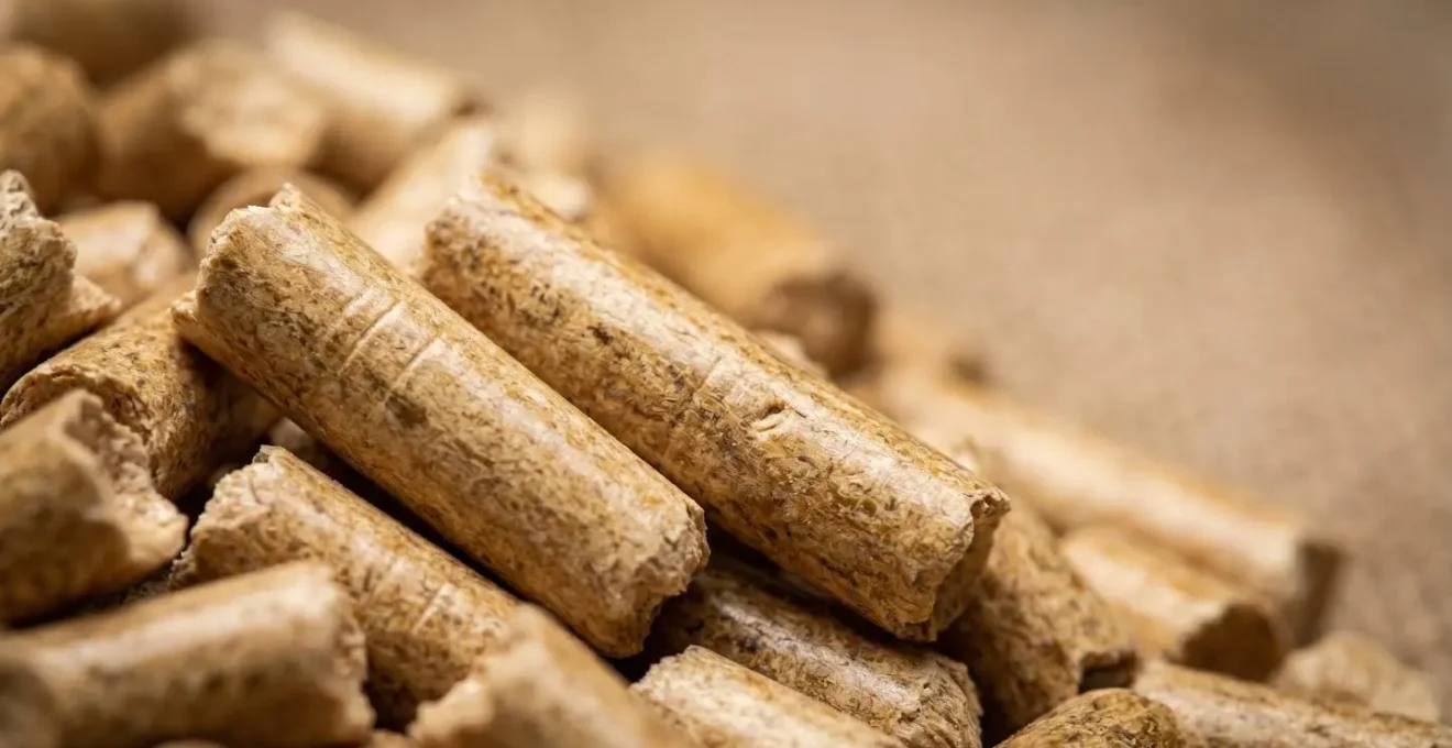 Gros plan macro sur des granulés de bois certifiés de haute qualité avec texture détaillée et surface lisse