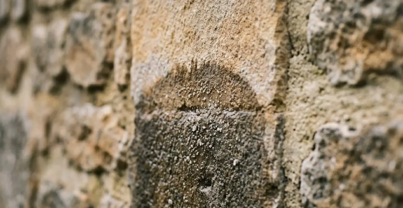 Détail macro d'un mur en pierre ancien montrant les effets de l'humidité ascensionnelle
